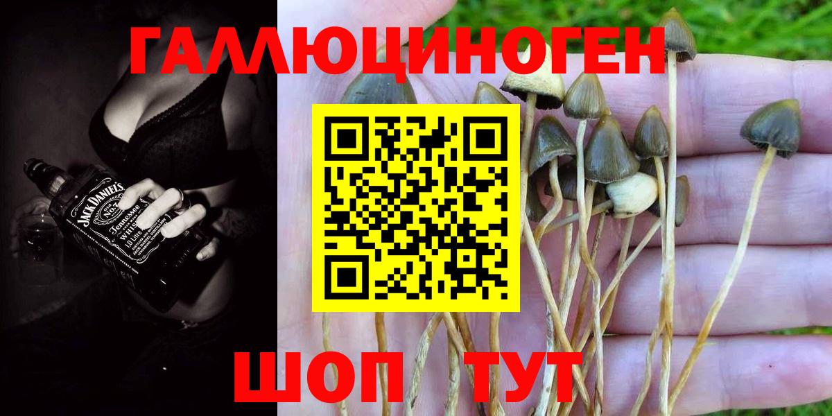 Галлюциногенные грибы Psilocybe  магазин  наркотиков  Усть-Джегута  Вход с VPN  Псилоцибиновые грибы Magic Shrooms 